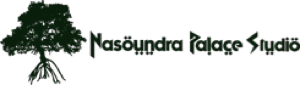 www.nasoundrapalacestudio.png